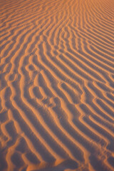 indian thar desert sand dunes india 