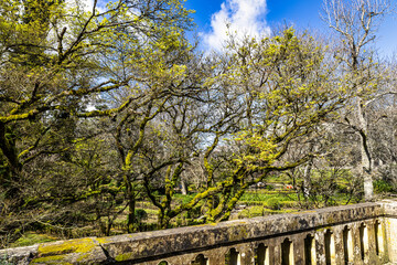 The Botanical Garden of the University of Coimbra in Portugal. The garden was founded in the 18th century