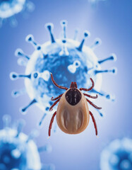 Close-up View of a Dangerous Tick