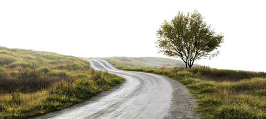 Curved rural road through green meadow with tree, isolated on transparent cutout background