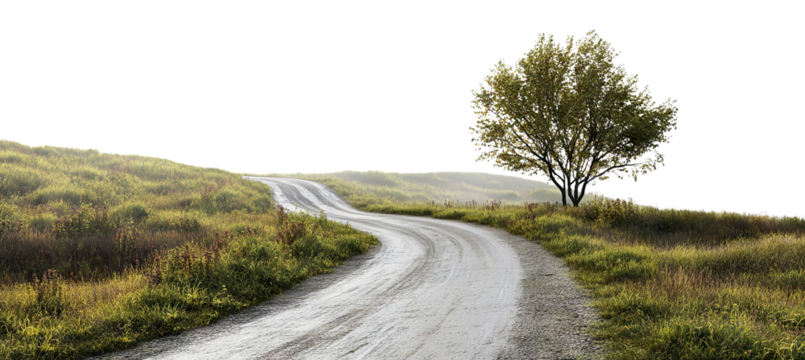 Curved rural road through green meadow with tree, isolated on transparent cutout background