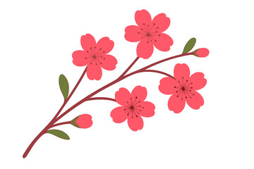 Fototapeta premium Cherry Blossom Branch Illustration. Pink Red Sakura Flowers on Branch with Green Leaves. Japanese Spring Floral Design. Transparent Background Vector. Botanical Nature Art. Stock Clipart
