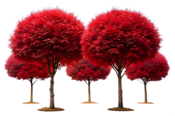 A group of five trees with bright red, round foliage, isolated on transparent background