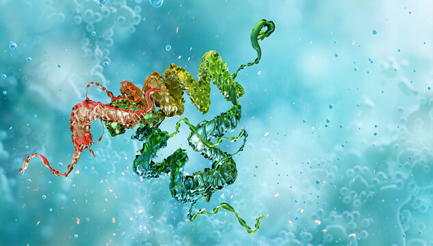 HMGB1 protein molecule, associated with aging signals spreading via bloodstream. 3D biomolecule biomedical illustration for scientific article on cellular senescence, anti-aging therapy, biotechnology