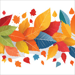 autumn leaves background