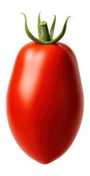 A ripe, shiny red plum tomato with a green stem on transparent background.