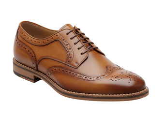 Isolated Elegant Brown Leather Men's Brogue Oxford Shoe