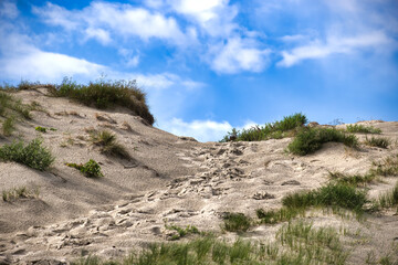 Sandy dune landscape with blue sky and fluffy clouds on a bright summer day.