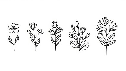 vector set of flowers