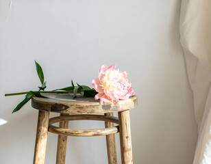 Lying Peony Flower on Old Pine Stool in Warm Light Corner