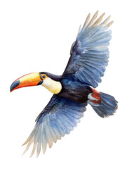 Colorful Toucan Bird Flight