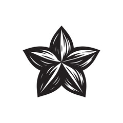 starfruit Vector (2).eps