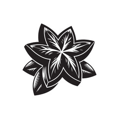 starfruit Vector (4).eps