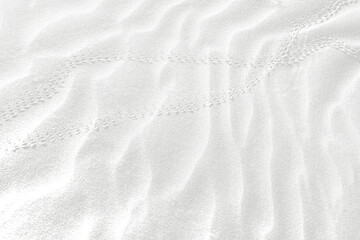 Sand structure blown away by the wind with a transparent background.