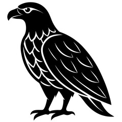 Obraz premium Majestic african fish eagle silhouette in flight