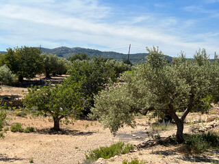 Malerische Mittelmeerküste mit Felsen und blauem Himmel