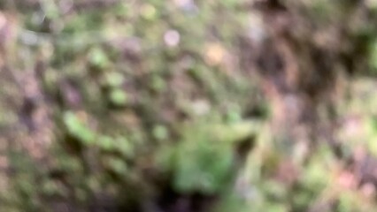 background abstract art texture luxury