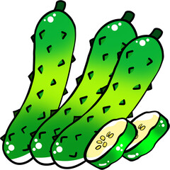 초록색 오이 일러스트