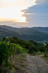 view in the valley in tuscany