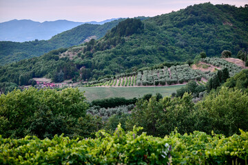 view in the valley in tuscany