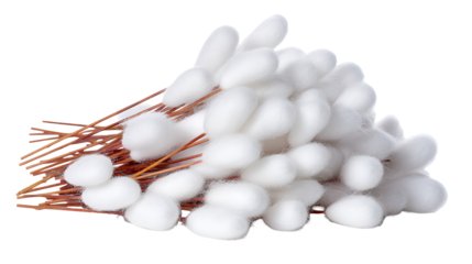 White Silk Cocoons on Sticks Natural Fiber Textile