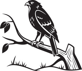Silhouette of a hawk perched on a branch bird