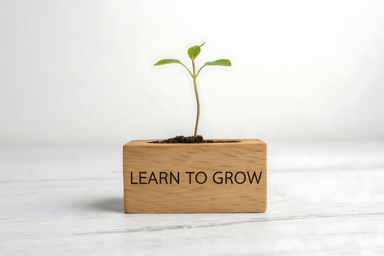 New plant sprouts in wooden pot with inspiring "LEARN TO GROW" message