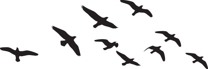 Flying Birds Silhouette