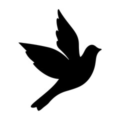 flying bird silhouette image 