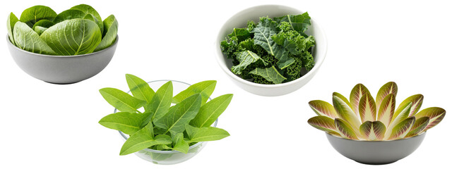 Collection of assorted leafy greens including baby cabbage, curly kale, romaine, and wild greens in bowls