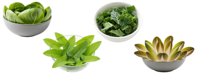 Collection of assorted leafy greens including baby cabbage, curly kale, romaine, and wild greens in bowls