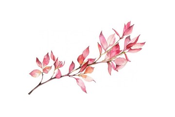 Fototapeta premium Delicate watercolor autumn leaves illustration