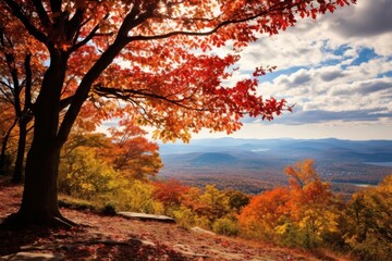 Fototapeta premium Vibrant fall foliage outdoors scenery autumn.