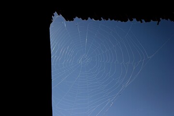 Beautiful white spider web woven on a wooden canopy against a clear blue sky	
