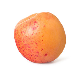 One fresh ripe apricot isolated on white