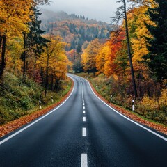 autumn road landscape in beautiful nature travel. autumn colors in mountain road scenery. autumn landscape on the highway in colorful forest. nature trip in fall. highway landscape on fall season.