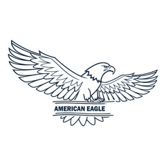 American Eagle log vector illustration.