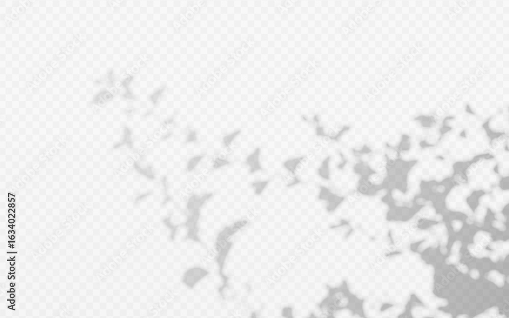 Poster abstract shadow overlay from foliage tree branch on a transparent background.