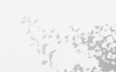 Abstract shadow overlay from foliage tree branch on a transparent background.
