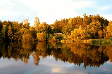 autumn in the forest