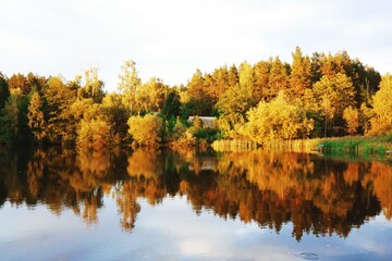 autumn in the park