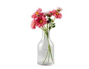 Pink Gerbera Daisies in Glass Vase