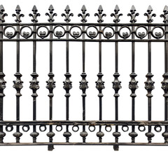 Ornate Black Iron Fence with Decorative Spikes and Vertical Bars