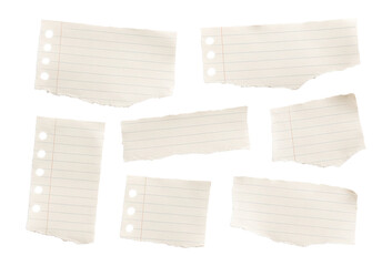 Various torn pieces of lined notebook paper with rough edges and punched holes on transparent background.
