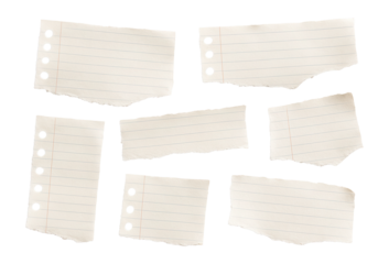 Various torn pieces of lined notebook paper with rough edges and punched holes on transparent background.