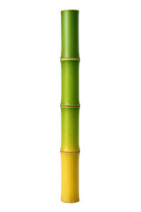 Fototapeta premium Vertical Segment of a Bamboo Stalk Showcasing Green to Yellow Gradient and Distinct Nodes