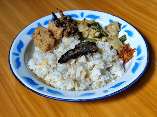 A portion of typical Indonesian mixed rice served on a classic blue and white patterned enamel plate, consisting of corn rice, a piece of dried fish, fried tempeh, stir-fry and chili sauce. Delicious 