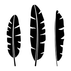 Vector illustration of Banana Leaves set on transparent background
