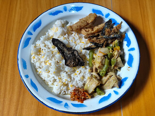 A portion of typical Indonesian mixed rice served on a classic blue and white patterned enamel plate, consisting of corn rice, a piece of dried fish, fried tempeh, stir-fry and chili sauce. Delicious 