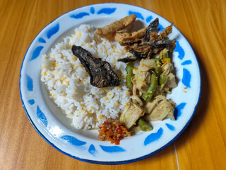 A portion of typical Indonesian mixed rice served on a classic blue and white patterned enamel plate, consisting of corn rice, a piece of dried fish, fried tempeh, stir-fry and chili sauce. Delicious 